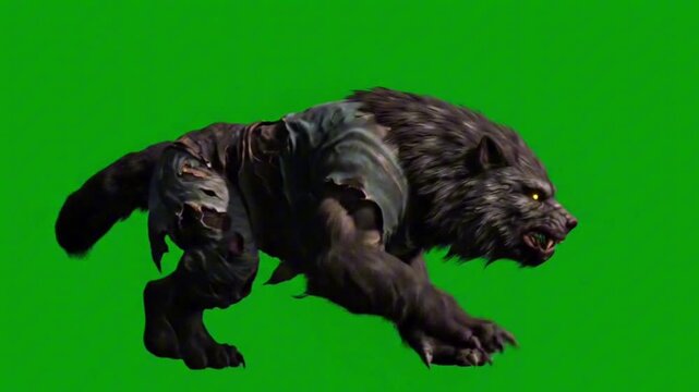 A dark werewolf with glowing yellow eyes crouches against a bright green screen background ready to pounce. Halloween theme
