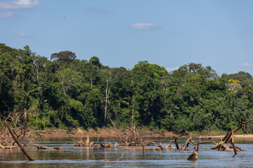 Navigating the Heath River, a natural border between Peru and Bolivia, a biodiverse place filled...