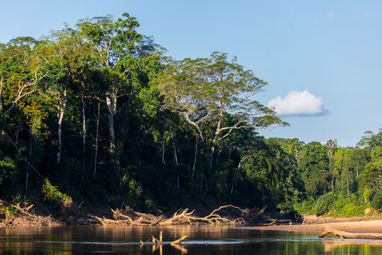 Navigating the Heath River, a natural border between Peru and Bolivia, a biodiverse place filled with pristine forests