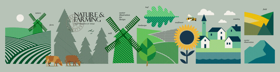 Fototapeta na wymiar Farming and nature. Vector illustration of farm with windmills, cows, fields, sunflower, coniferous forest, leaf, hill and village houses for agriculture poster, rural landscape