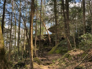 Natural Bridge State Park - Red River Gorge, KY
