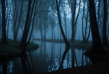 Photo A dense, shady forest at the edge of a misty willow grove, where the light