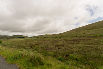 A field of grass with a cloudy sky in the background