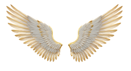 Angel wings, detailed 3D illustration, isolated on white, spiritual and religious symbol.