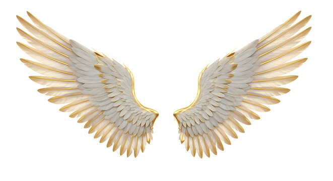Angel wings, detailed 3D illustration, isolated on white, spiritual and religious symbol.
