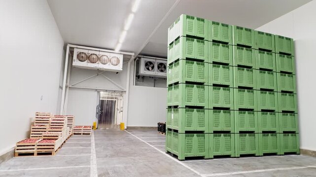 Industrial cold storage with stacked crates of apples and large ventilation fans, maintaining optimal temperature and preserving fruit quality in a warehouse facility.