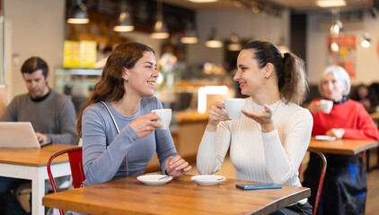Woman in cafe sits near girl companion, has nice conversation and discusses news of day. Cozy...