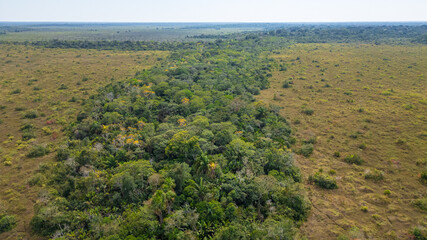 Aerial view of the extensive Amazonian humid savannah plain, located between Bolivia and Peru,...