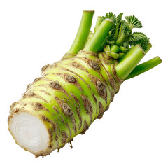 Fresh wasabi rhizome root horseradish japanese condiment spice ingredient food isolated on transparent background, png