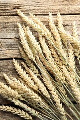 Many wheat spikes on wooden table, flat lay