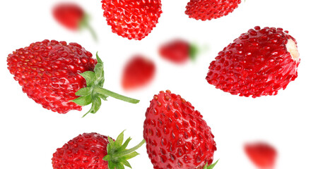 Fresh ripe wild strawberries in air against white background