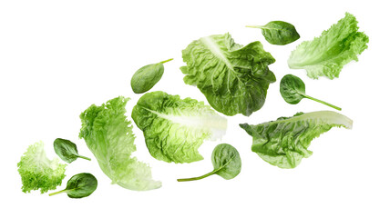 Fresh lettuce and spinach leaves flying against white background