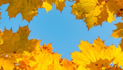 Fototapeta premium Autumn leaves frame a sky