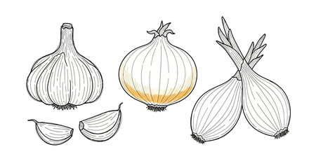 A detailed line drawing illustration of a garlic bulb with cloves, a yellow onion, and two shallots on a white background.
