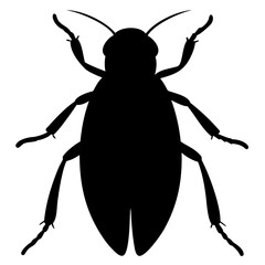 Leafhopper Silhouette 