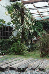 A cozy outdoor cafe surrounded by lush green garden, wooden pergola walkway, rustic architecture, natural ambiance, peaceful seating area and relaxing vibe perfect for nature lovers