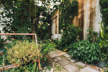 A cozy outdoor cafe surrounded by lush green garden, wooden pergola walkway, rustic architecture, natural ambiance, peaceful seating area and relaxing vibe perfect for nature lovers