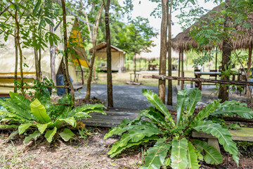 Night and warm light exposure of an illuminated bell tent surrounded by trees and a small camp fire, outdoor camping lifestyle
