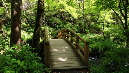 Wooden arch bridge through lush green forest.