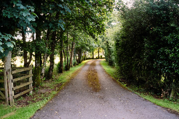Obraz premium Serene rural path leads to a private home nestled in the tranquil Irish countryside