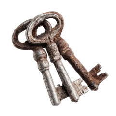 Obraz premium Aged antique keys