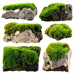 Moss-covered rocks isolated