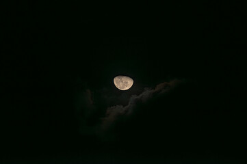 BEAUTY AT DUSK.
REVEALING HOW BEAUTIFUL THE MOON IS.