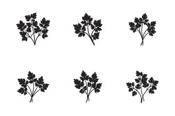 Parsley Herb Silhouette Pattern for Culinary and Decorative Purposes Fresh and Aromatic Herb Background with Simple and Elegant Design