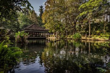 A tranquil tropical garden featuring a traditional Balinese pavilion beside a reflective fish pond, surrounded by lush greenery.