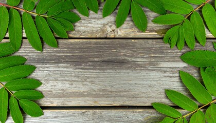 Fresh green leaves artfully arranged in a frame on a weathered gray wooden plank surface.