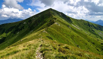 Fototapeta premium Lush mountain ridge with winding pathways.