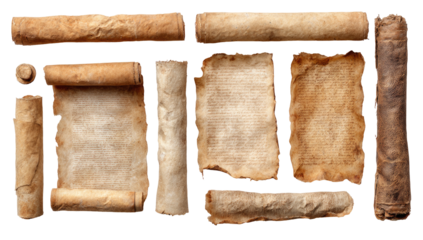 Collection of aged scrolls and parchments