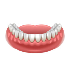 Obraz premium Realistic human lower jaw with white teeth dental mouth