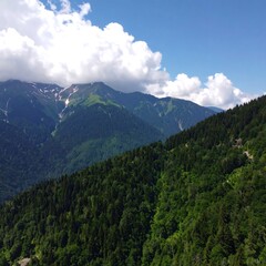 Obraz premium Mountainous landscape, dense forests
