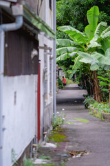 Obraz premium Temple corridor with colorful decorations and red floor in Taichung, Taiwan