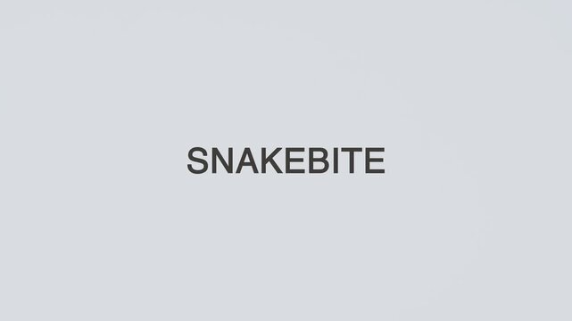 Snakebite concept word stethoscope illustrative illustration text hand diagnosed on white background for health awareness, patient care, and medical evaluation