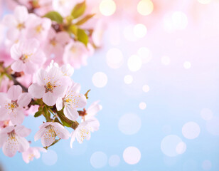 Fototapeta premium soft pastel background with blooming cherry blossoms in gentle focus, dreamy pink bokeh lights, bright spring atmosphere, high detail, stock photo style, copy space