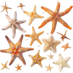 Assorted starfish in various sizes, colors, textures, and orientations on black