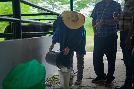 Leche de b&uacute;falo 