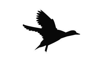Flying American wigeon bird Silhouette Design  And Vector Illustration. 