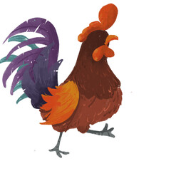 rooster