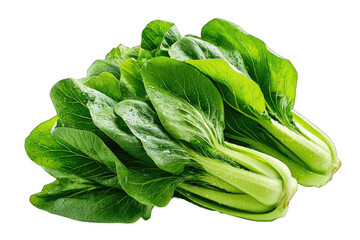 Fresh bok choy bunches, vibrant green leaves