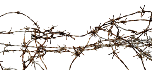 messy rusty barbed wire isolated border