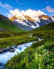 Mountain stream, wildflowers, sunrise