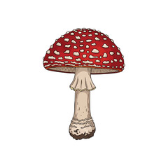 Iconic Red Fly Agaric Mushroom. A classic spotted fungus on a dark background. This vibrant toadstool symbolizes enchanted forests, fantasy, and magical folklore.