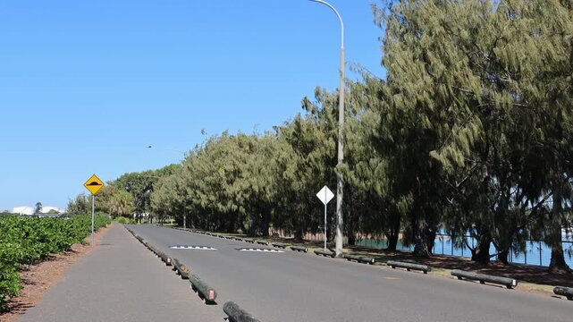 Road lined with wooden logs and casuarina trees at Spinnaker Park in Gladstone, Queensland, Australia