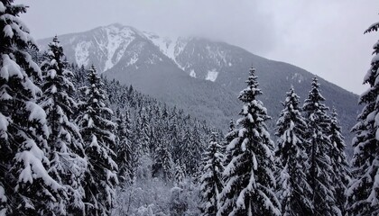 Snowy mountain peaks and a dense forest of coniferous trees, blanketed in a thick layer of snow, create a serene winter landscape.