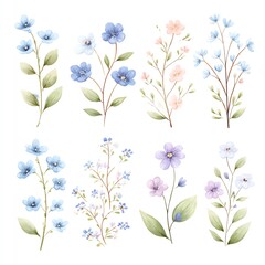 Delicate Watercolor Floral Collection Pastel Blossoms and Soft Greens on White