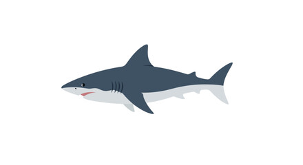 Isolated Great White Shark Illustration for Educational Purposes, Marine Biology Resources, and Ocean Conservation Awareness Campaigns