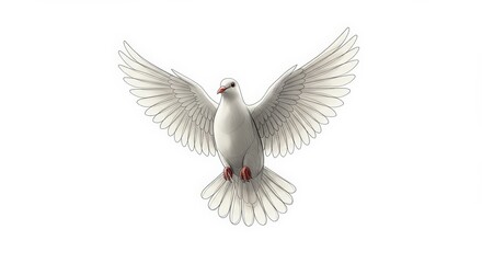 Obraz premium White dove in flight illustration